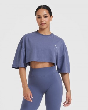 Blue Oner Active Classic Relaxed Crop Lightweight T Shirts | 54091FPLI