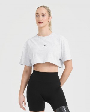 Light Grey Oner Active Classic Oner Graphic Crop Lightweight T Shirts | 15047CTRV