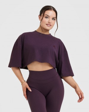 Purple Oner Active Classic Relaxed Crop Lightweight T Shirts | 42861SXDT