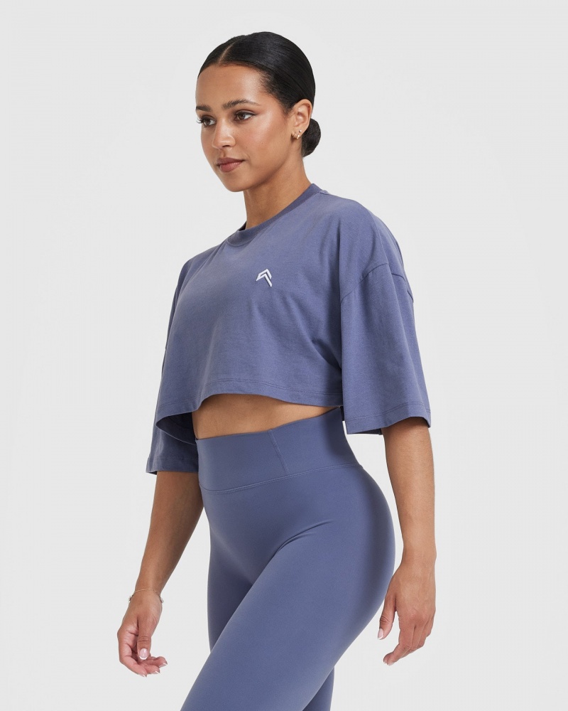 Blue Oner Active Classic Relaxed Crop Lightweight T Shirts | 54091FPLI