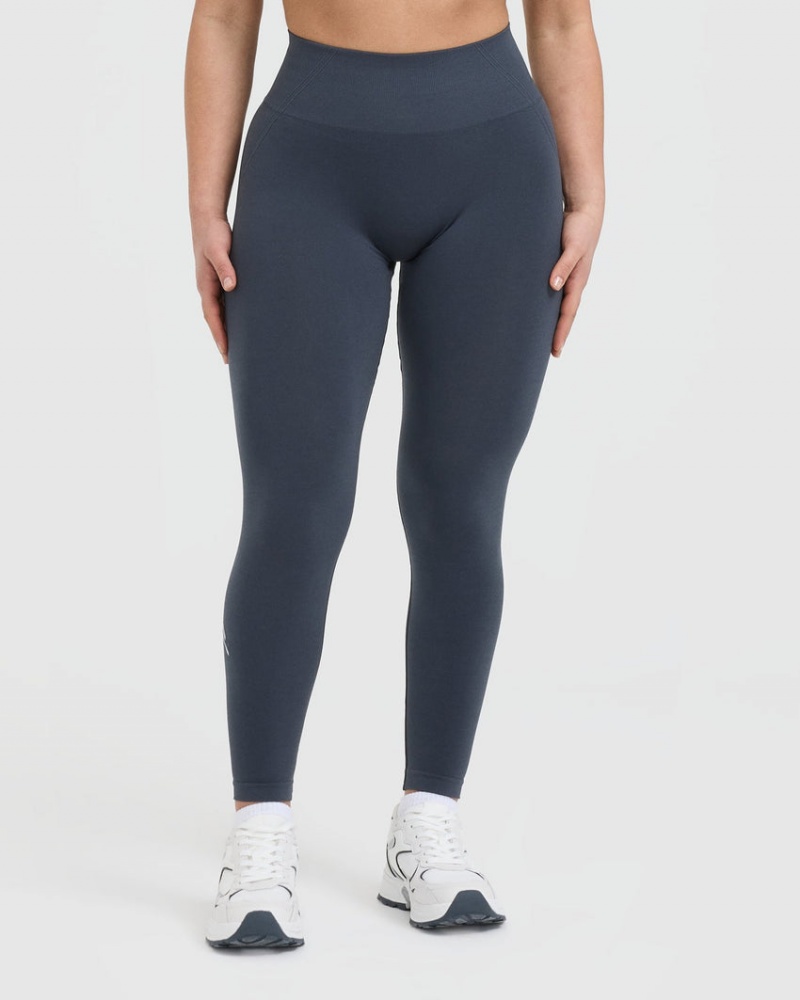 Blue Oner Active Effortless Seamless Leggings | 29054MLPE