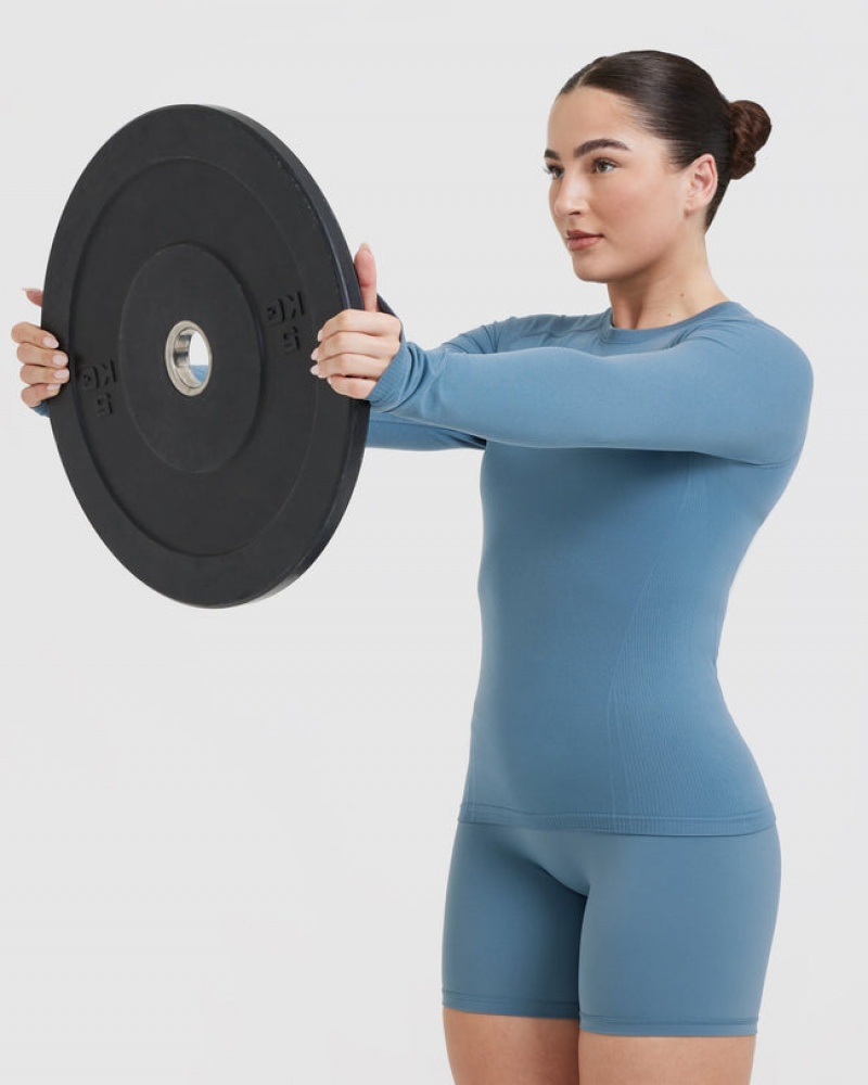 Blue Oner Active Go To Seamless Fitted Long Sleeve T Shirts | 89301IYAO