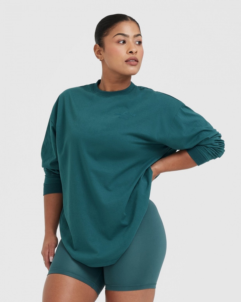 Blue / Turquoise Oner Active Classic Lifters Graphic Oversized Lightweight Long Sleeve T Shirts | 69028JSXF