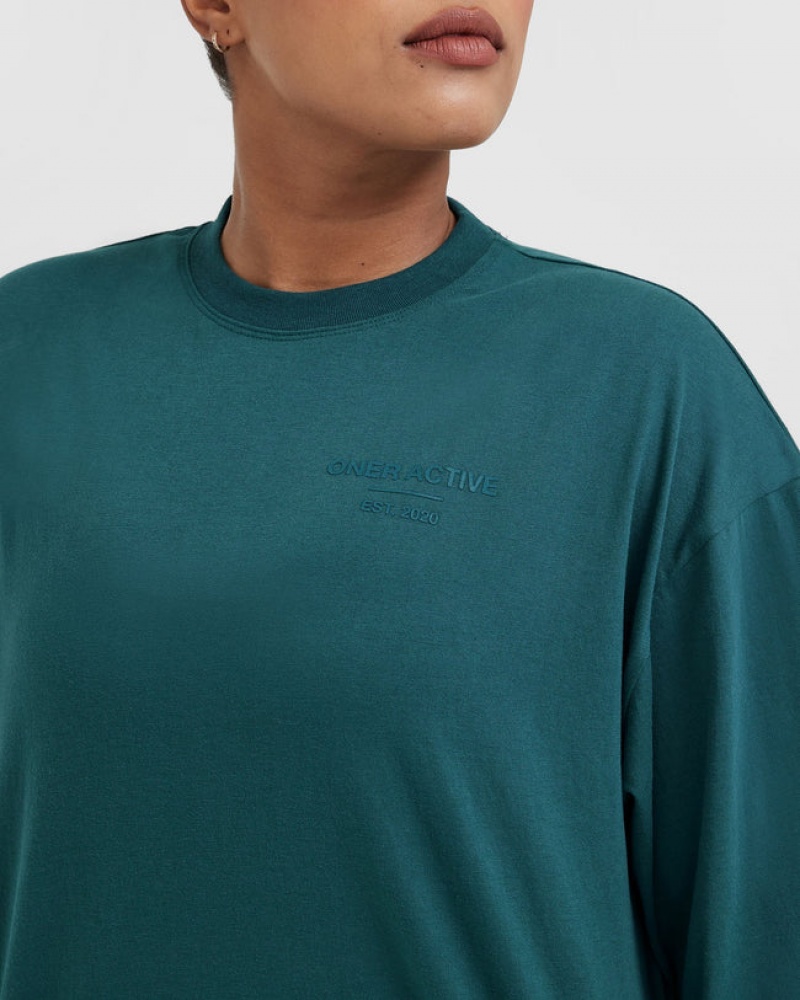 Blue / Turquoise Oner Active Classic Lifters Graphic Oversized Lightweight Long Sleeve T Shirts | 69028JSXF