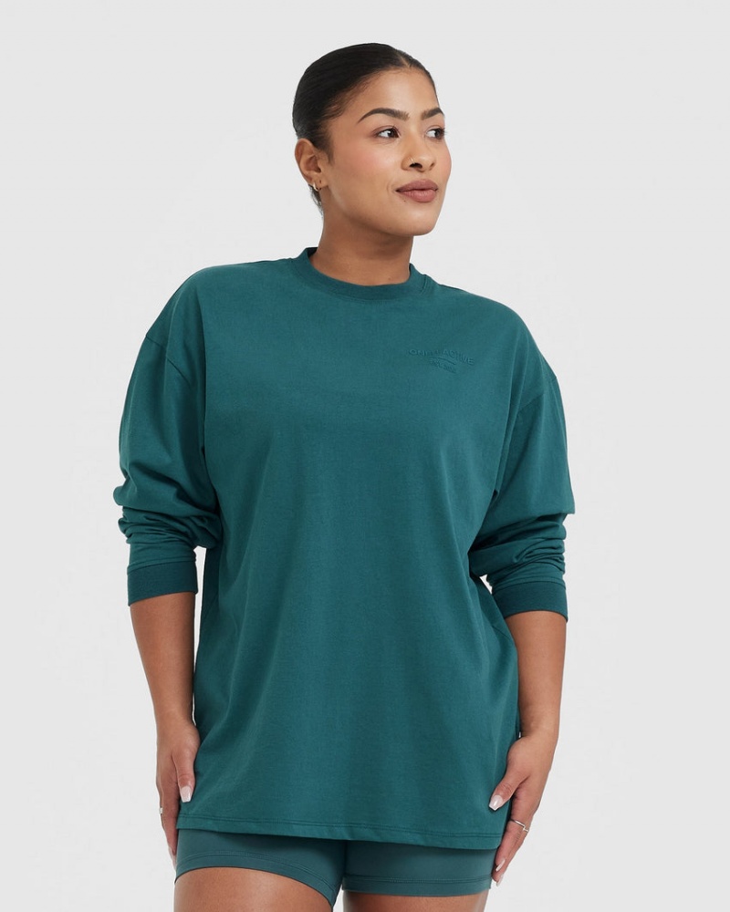 Blue / Turquoise Oner Active Classic Lifters Graphic Oversized Lightweight Long Sleeve T Shirts | 69028JSXF