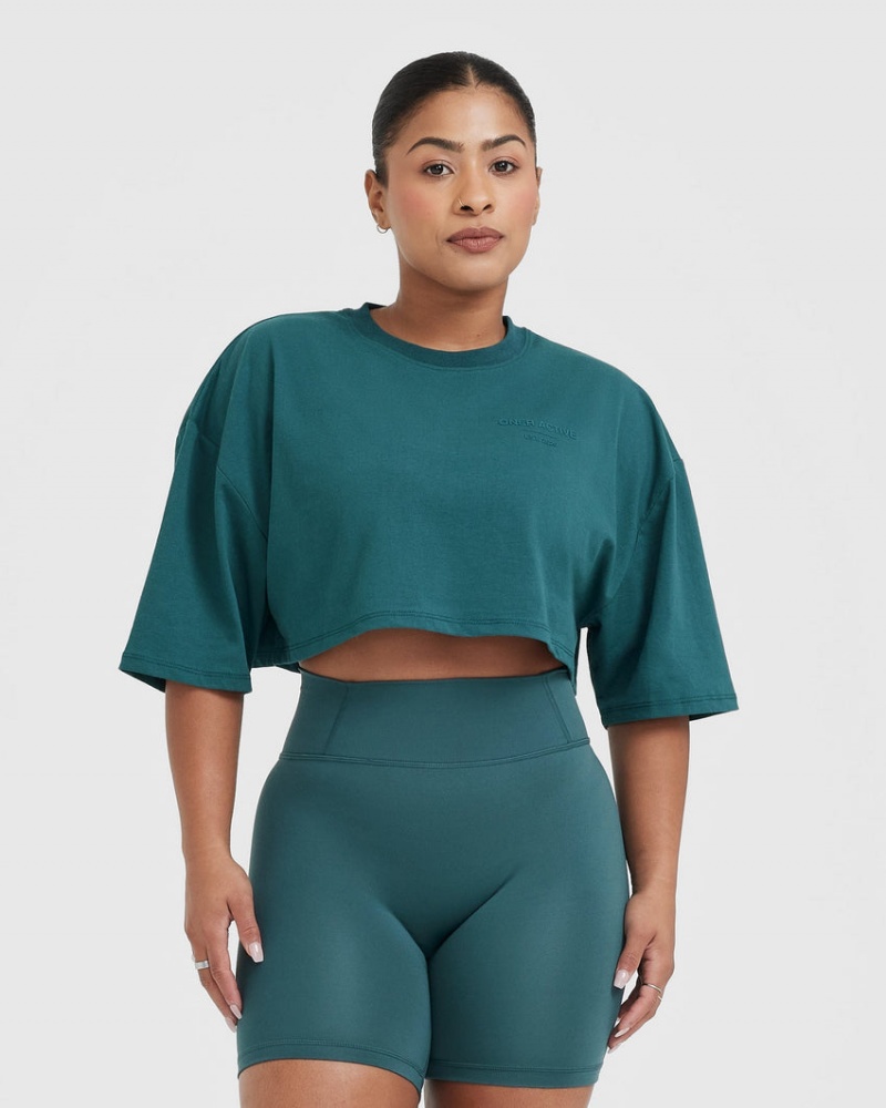 Blue / Turquoise Oner Active Classic Lifters Graphic Relaxed Crop Lightweight T Shirts | 31847MRZE