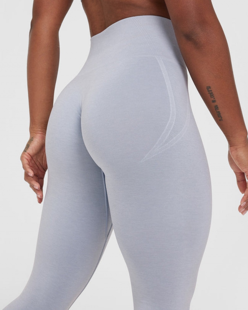 Grey Oner Active Effortless Seamless Leggings | 17089BDAN