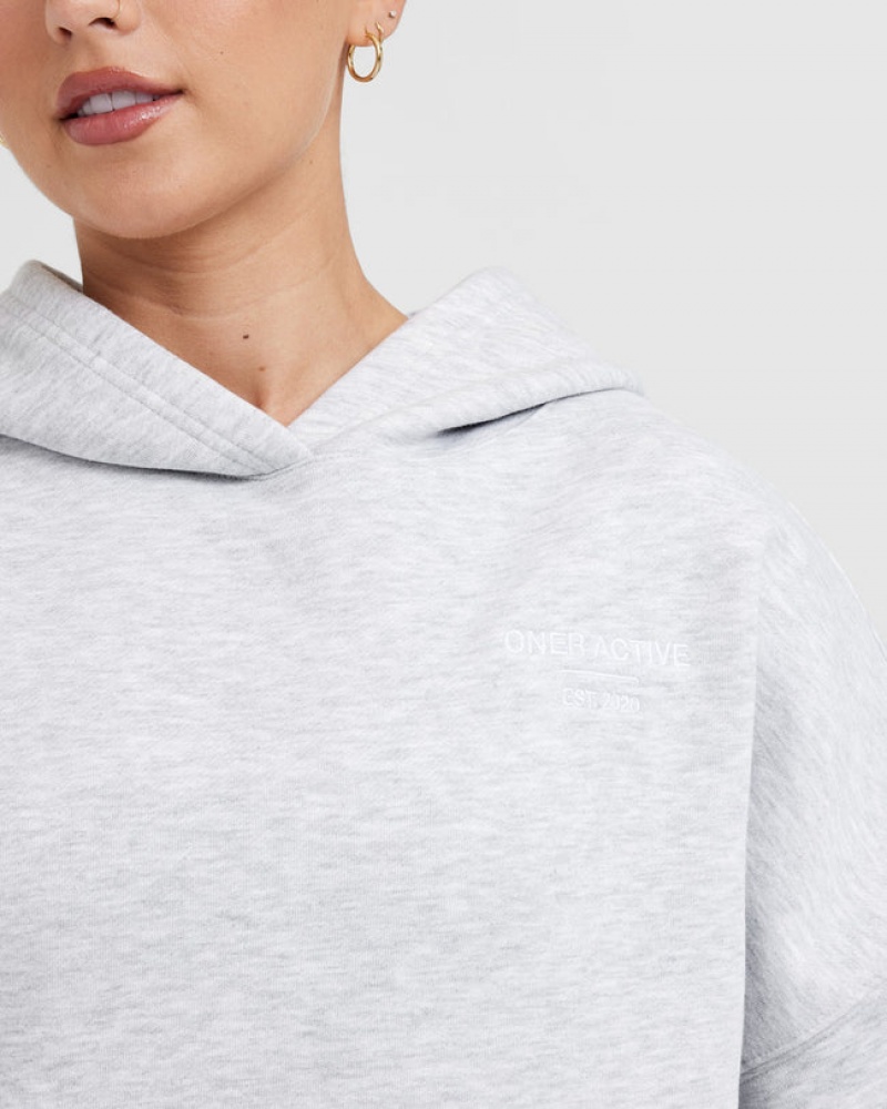 Light Grey Oner Active All Day Est 2020 Oversized Hoodie | 25438LYOF