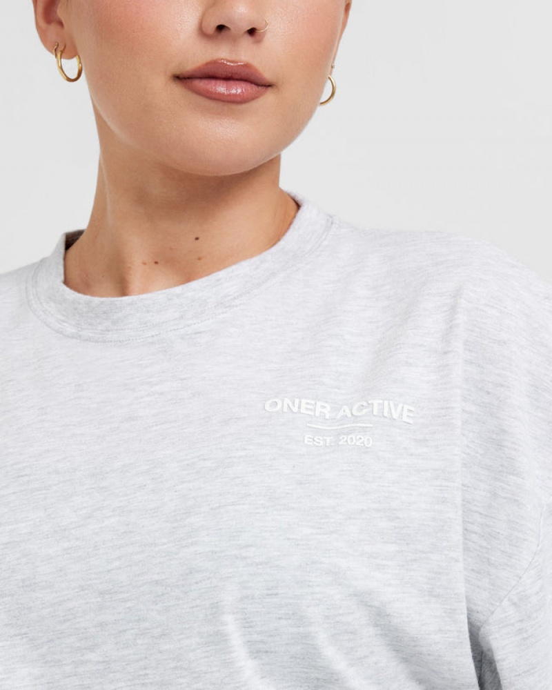 Light Grey Oner Active Classic Lifters Graphic Relaxed Crop Lightweight T Shirts | 92160CILQ