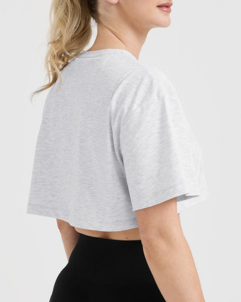 Light Grey Oner Active Classic Oner Graphic Crop Lightweight T Shirts | 15047CTRV