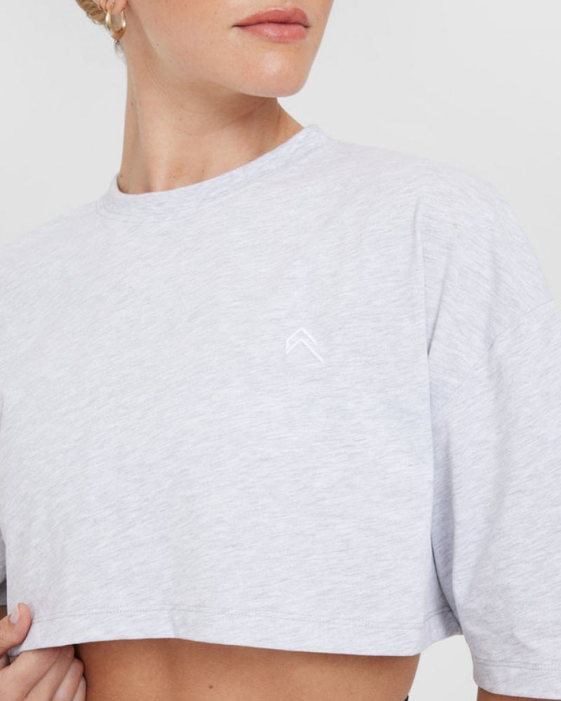 Light Grey Oner Active Classic Relaxed Crop Lightweight T Shirts | 79604FXBI