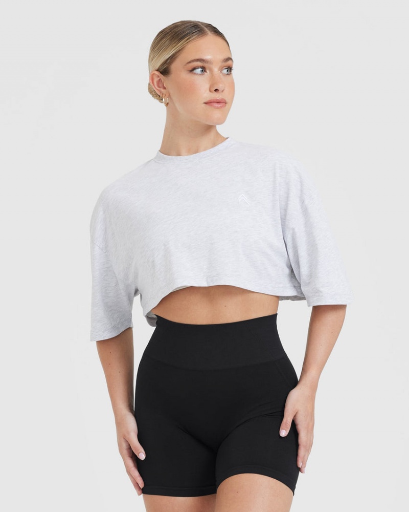 Light Grey Oner Active Classic Relaxed Crop Lightweight T Shirts | 79604FXBI