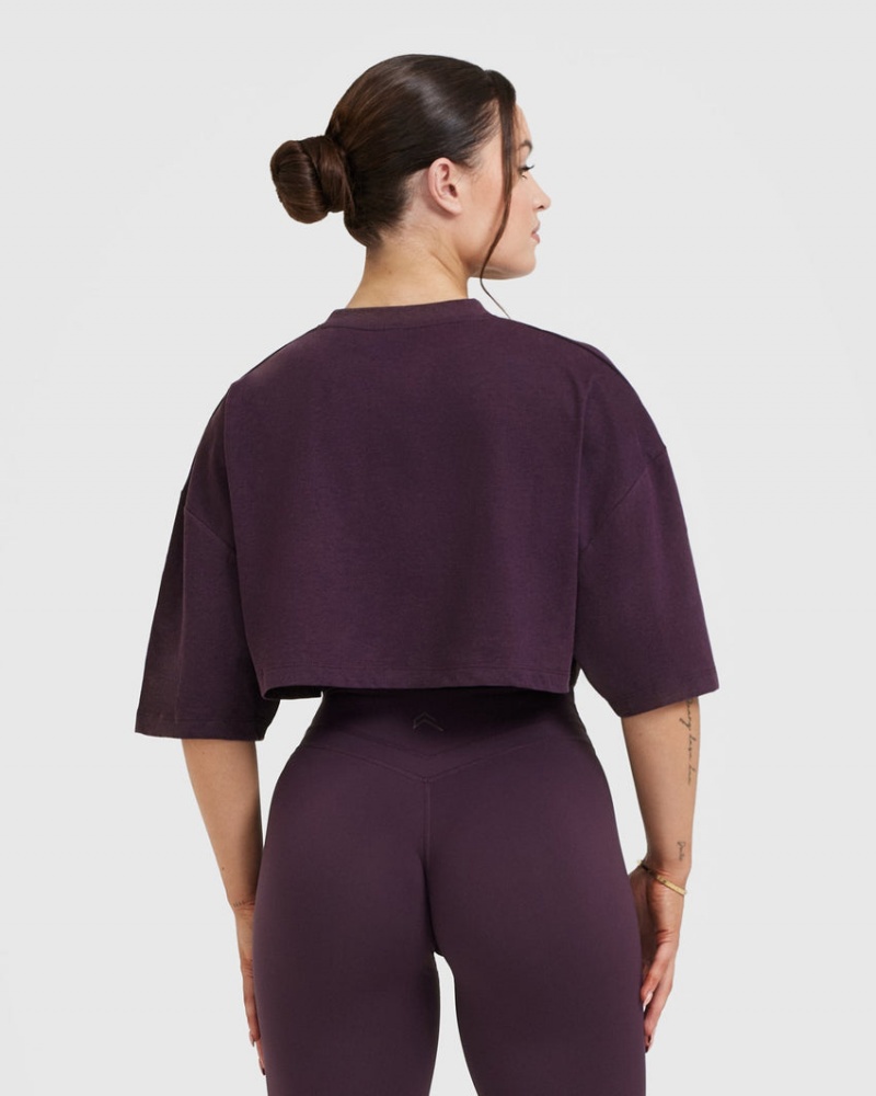 Purple Oner Active Classic Relaxed Crop Lightweight T Shirts | 42861SXDT