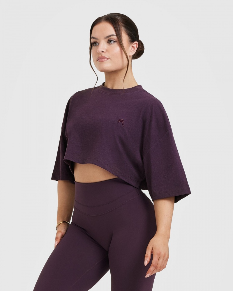 Purple Oner Active Classic Relaxed Crop Lightweight T Shirts | 42861SXDT