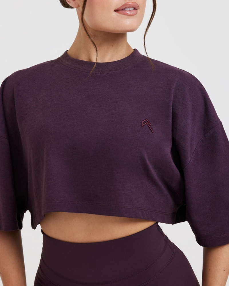 Purple Oner Active Classic Relaxed Crop Lightweight T Shirts | 42861SXDT