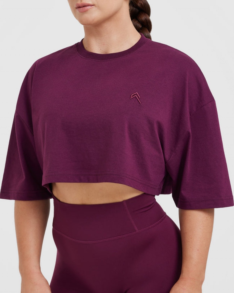 Purple Oner Active Classic Relaxed Crop Lightweight T Shirts | 28416NWKR